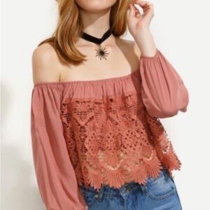 Chic Off-Shoulder Lace Blouse - Rose